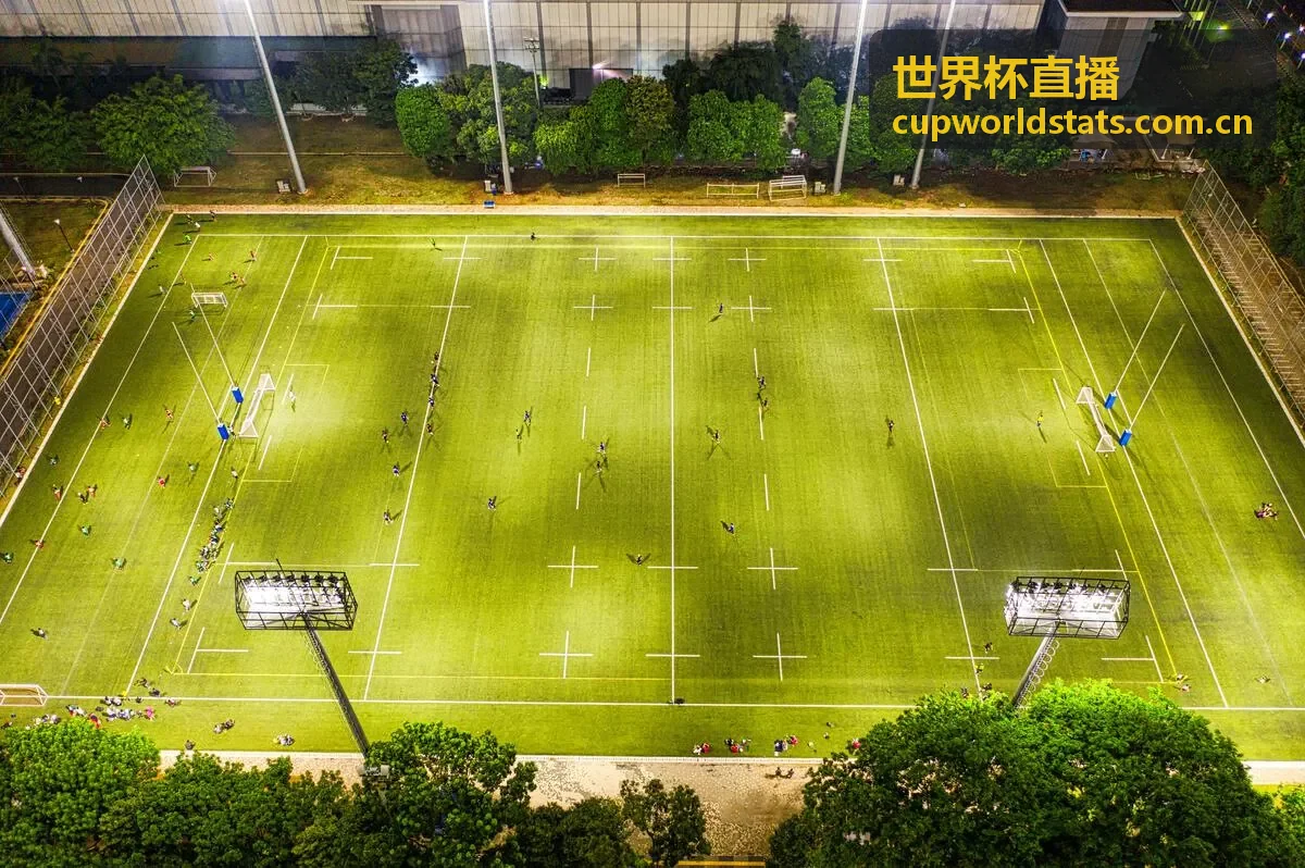 世界杯直播 - 阿根廷队逆转取胜